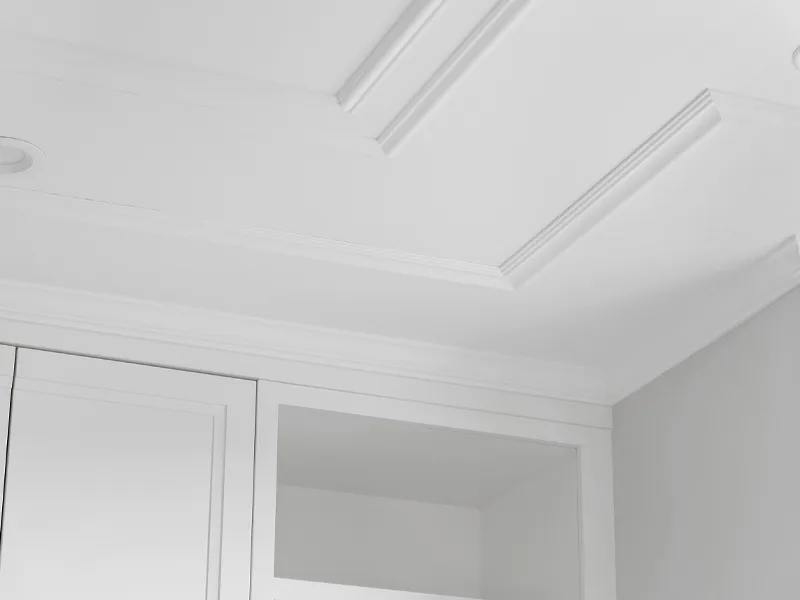 Lincoln Park Historic Renovation — detail 1