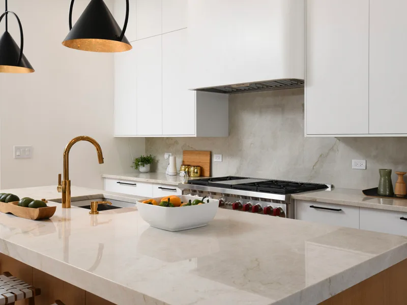 Lincoln Park Kitchen Renovation — detail 1