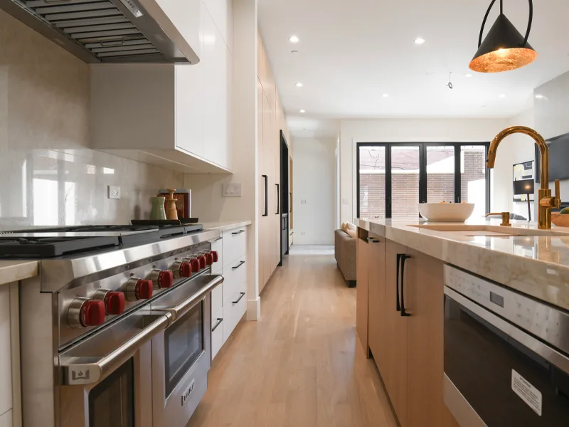 Lincoln Park Kitchen Renovation — detail 2