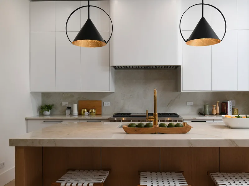 Lincoln Park Kitchen Renovation — detail 3