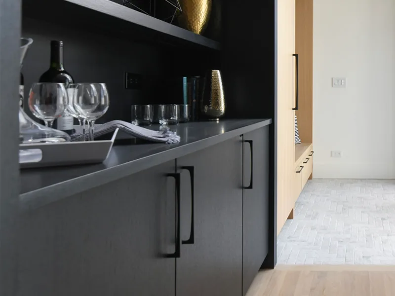 Lincoln Park Kitchen Renovation — detail 6