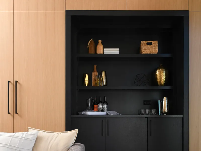 Lincoln Park Kitchen Renovation — detail 7