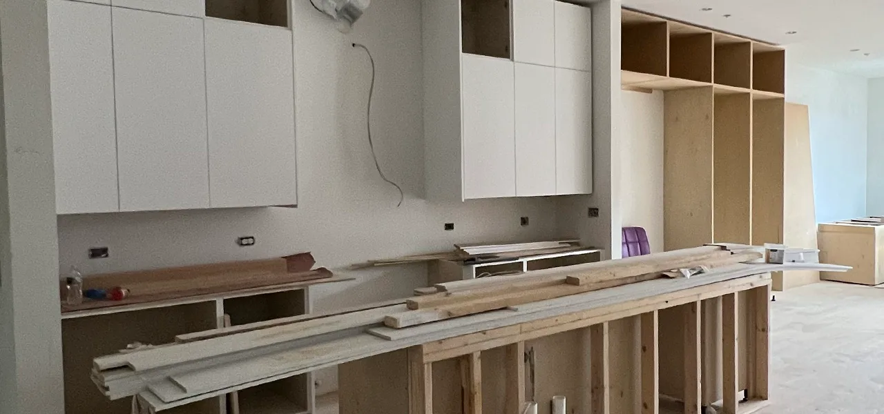 Lincoln Park Kitchen Renovation