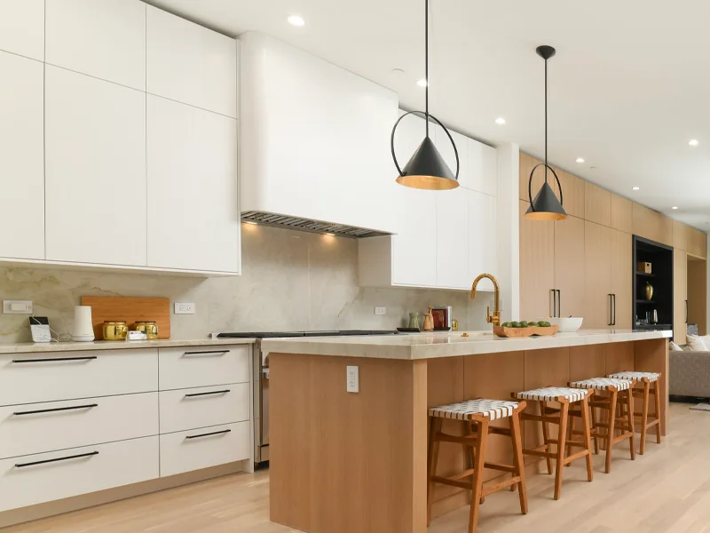 Lincoln Park Kitchen Renovation — result